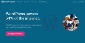 wordpress com and wordpress org difference between