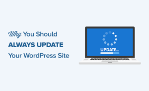 use the latest version of WordPress