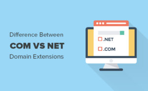 Com vs Net