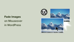 fade images on mouseover in WordPress